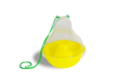 NoPests® Wasp Dome Trap