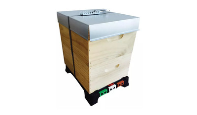 Ready-To-Go 2 Storey Hive  Painted / Dipped incl. Waxed Plastic Frames - Full Depth (Standard)